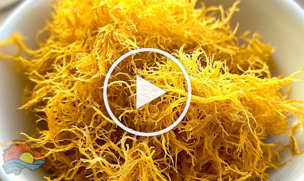 Healthy Living by Nature Boy Naturals