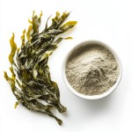 Bladderwrack