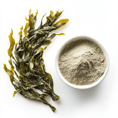 Bladderwrack