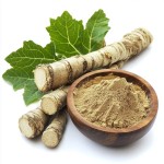 Burdock Root