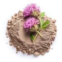 Red Clover | Nature Boy Naturals