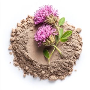 Red Clover | Nature Boy Naturals